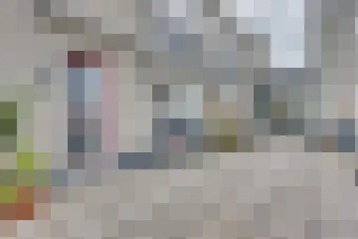 Demerstraat 62 's-Hertogenbosch thumbnail 17