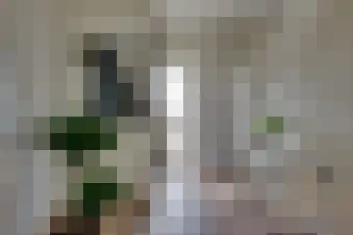 Demerstraat 62 's-Hertogenbosch thumbnail 5