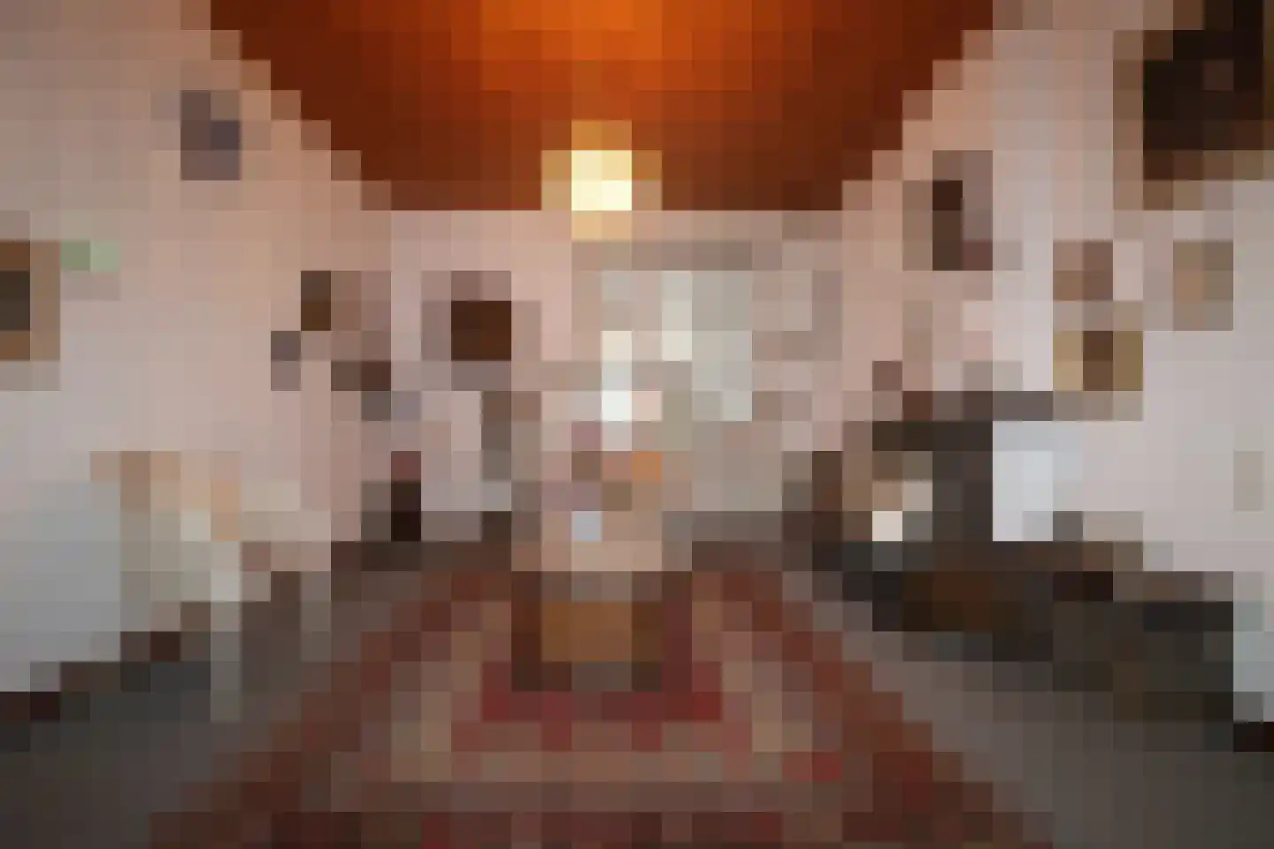 Demertstraat 19 Maastricht thumbnail 8