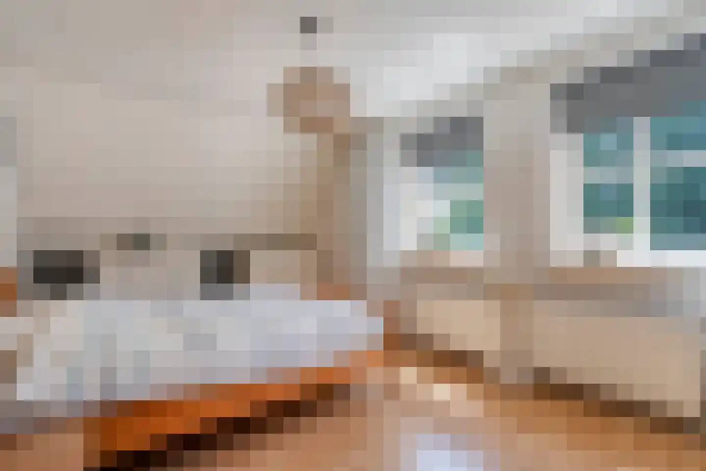 Demeterlaan 31 Enschede thumbnail 36