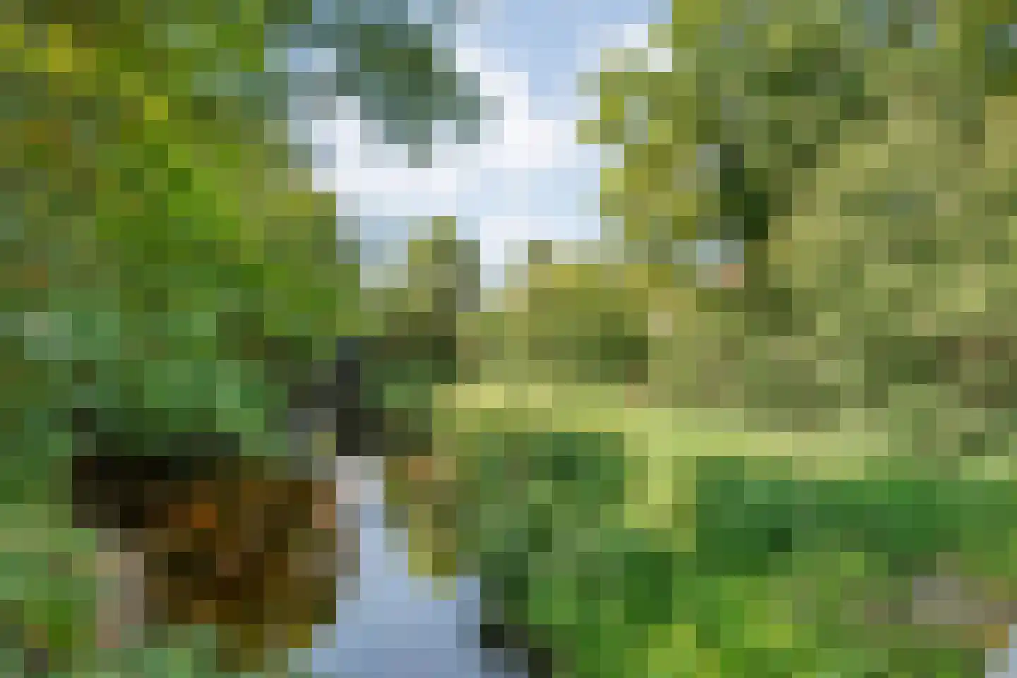 Demeterlaan 31 Enschede thumbnail 68