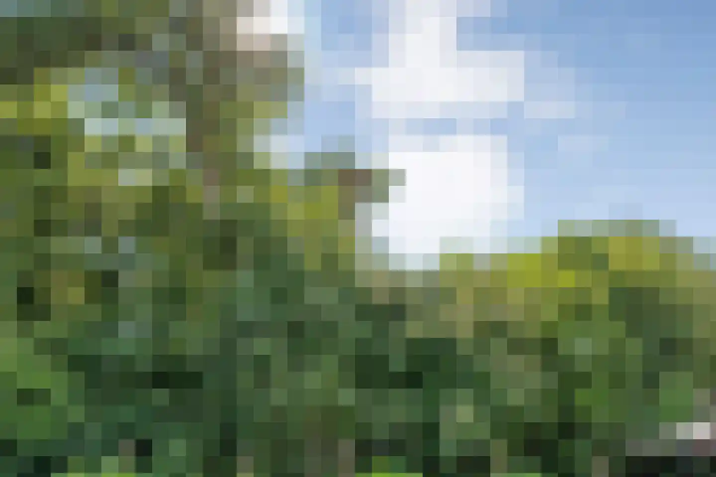 Demeterlaan 31 Enschede thumbnail 69