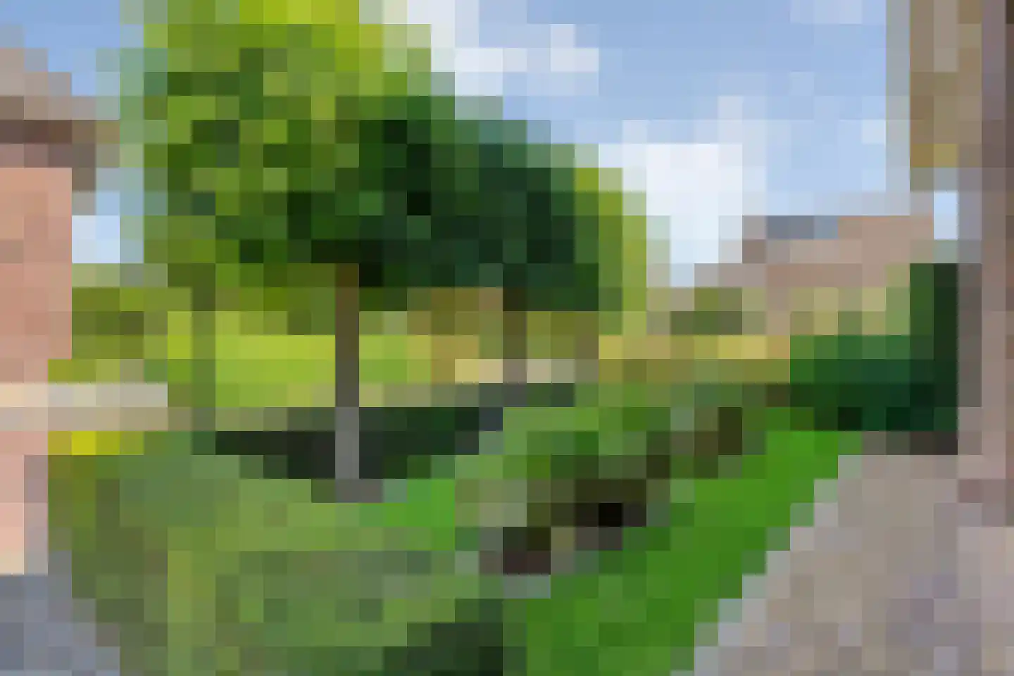 Demeterlaan 31 Enschede thumbnail 7