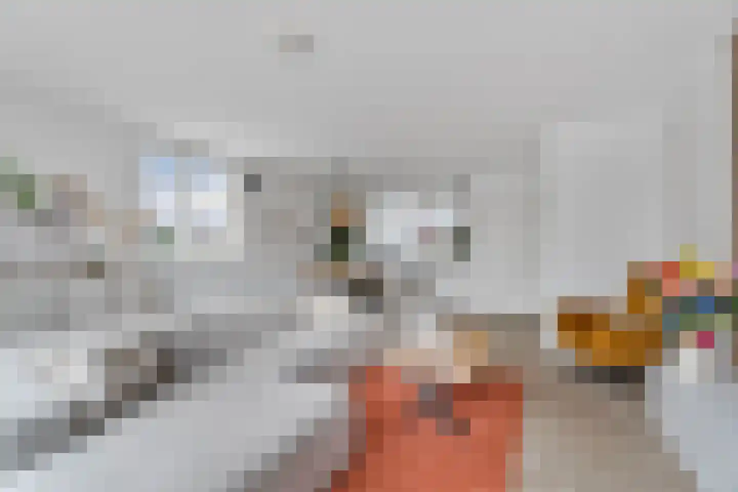Demetrius Vikelaslaan 74 Almere thumbnail 16