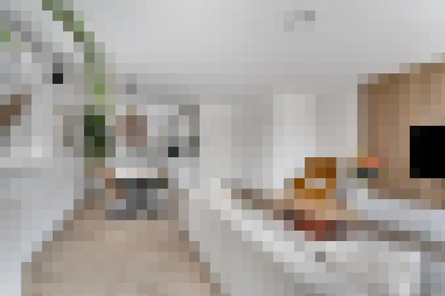 Demetrius Vikelaslaan 74 Almere thumbnail 17
