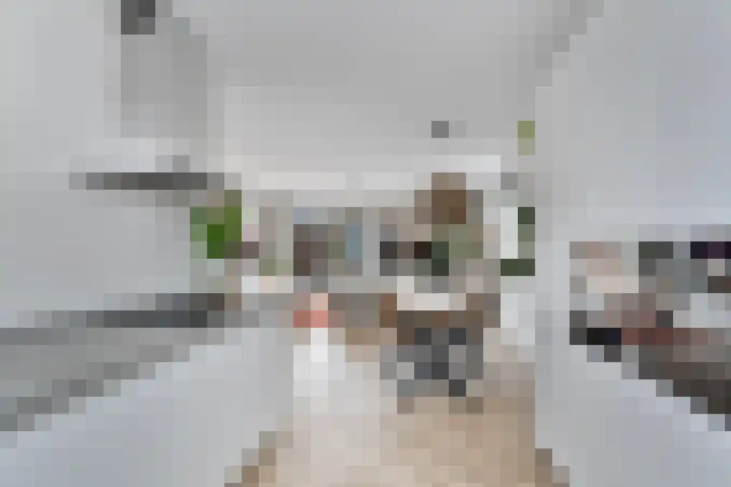 Demetrius Vikelaslaan 74 Almere thumbnail 24