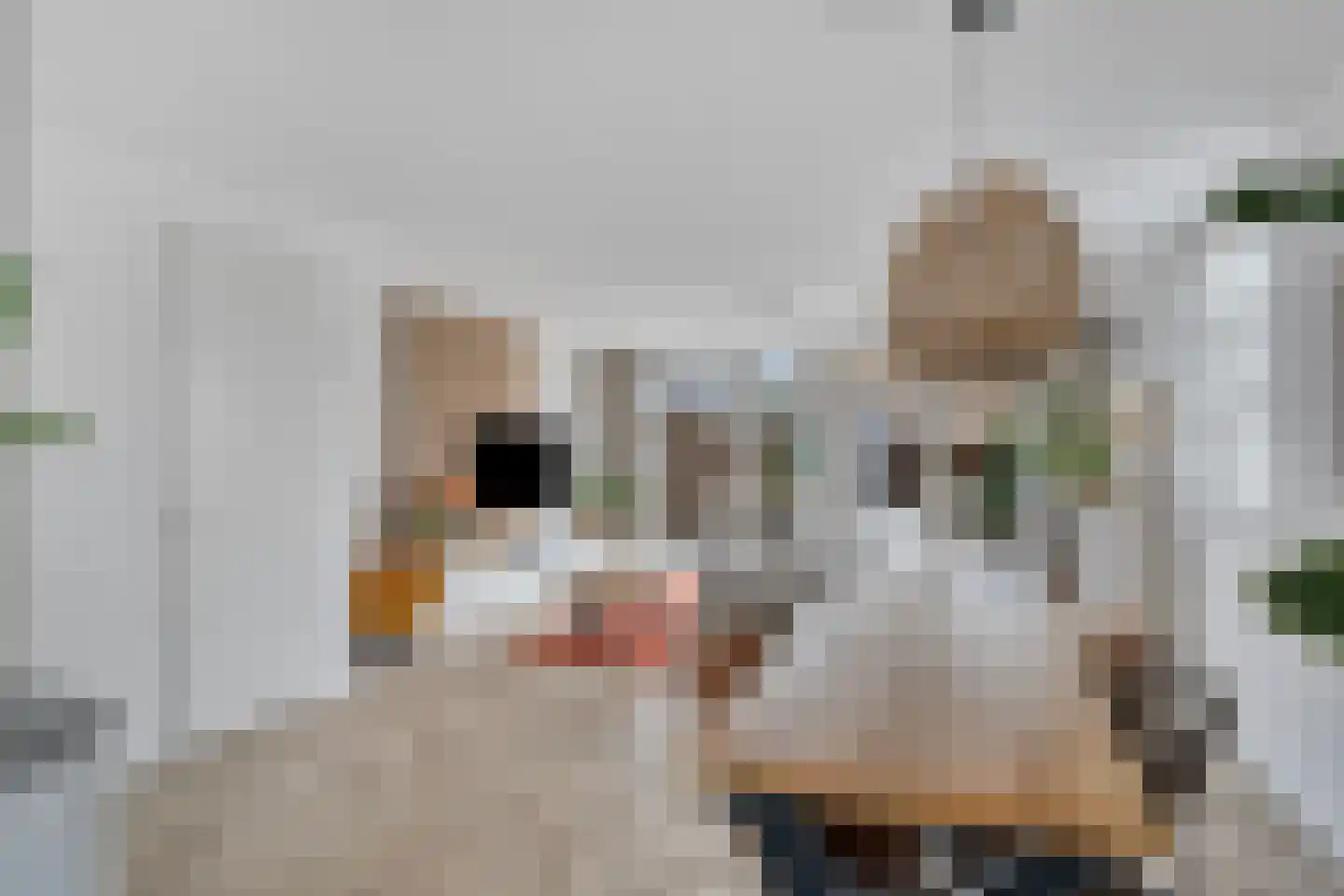 Demetrius Vikelaslaan 74 Almere thumbnail 25