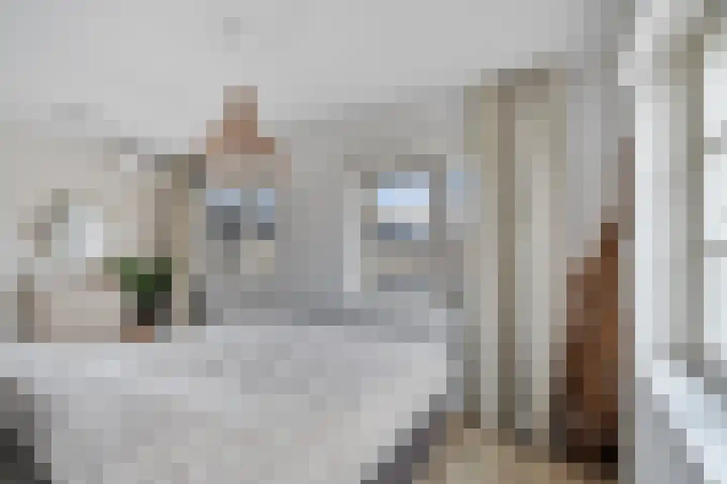 Demetrius Vikelaslaan 74 Almere thumbnail 31