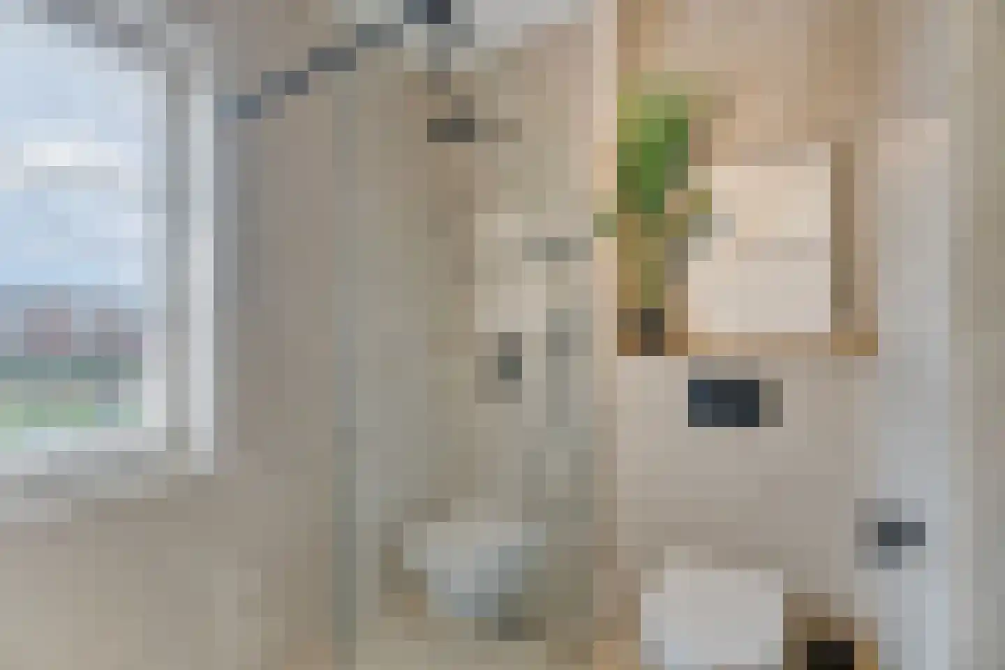 Demetrius Vikelaslaan 74 Almere thumbnail 36