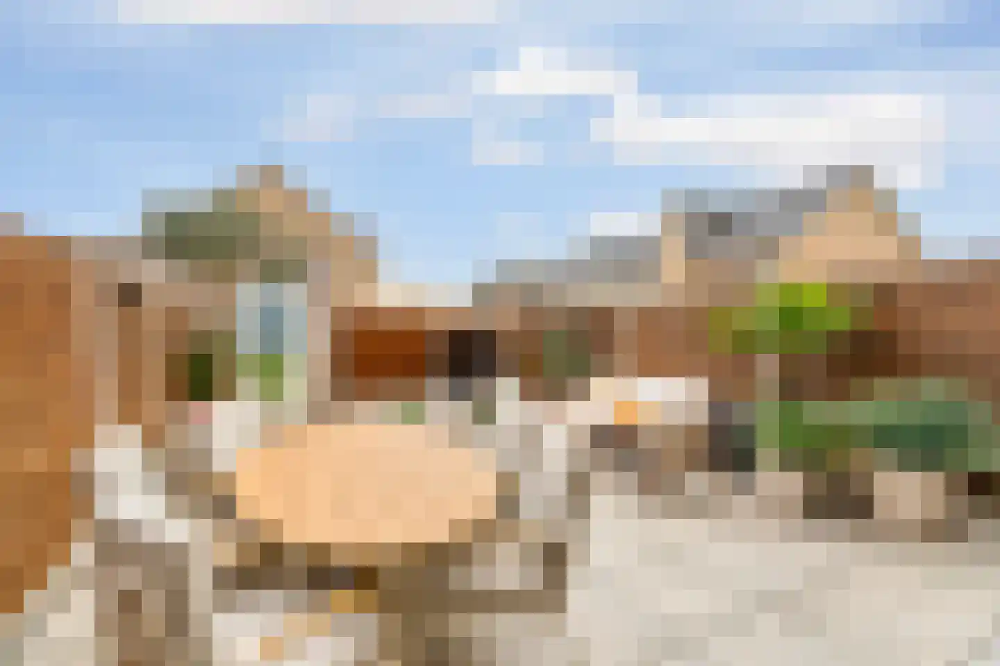 Demetrius Vikelaslaan 74 Almere thumbnail 48