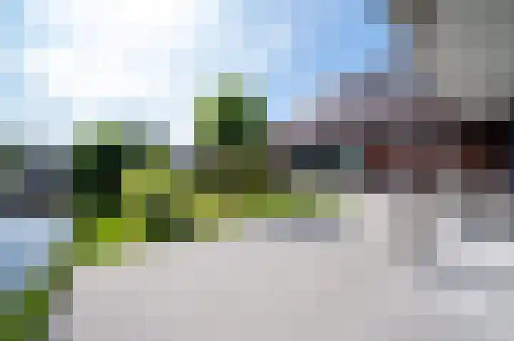 Demmerik 10 Vinkeveen thumbnail 11