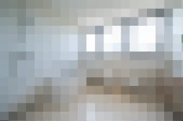 Demmerik 10 Vinkeveen thumbnail 19