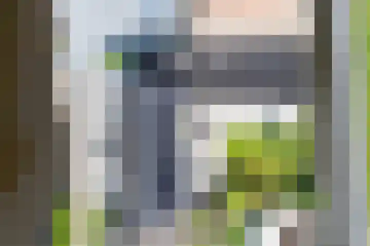Demmerik 10 Vinkeveen thumbnail 21