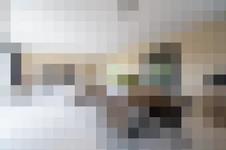 Demmerik 10 Vinkeveen thumbnail 5
