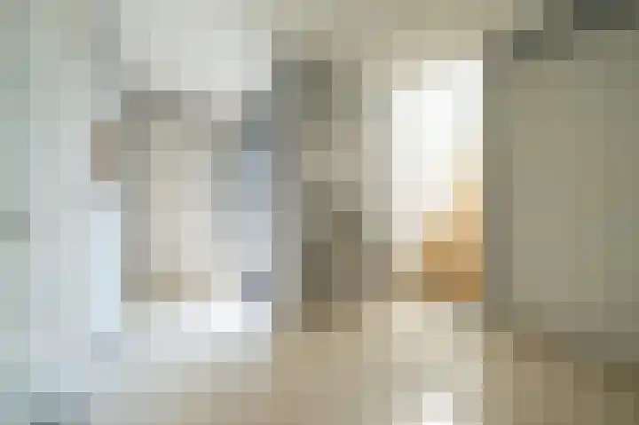 Demmerik 10 Vinkeveen thumbnail 8