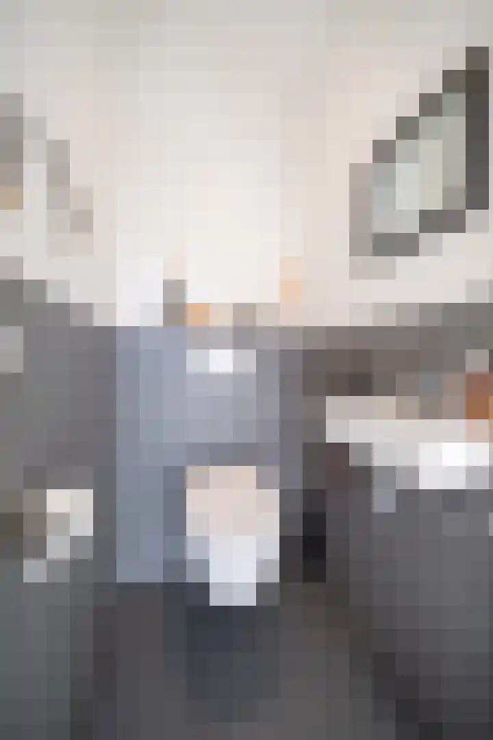 Demmerik 10 Vinkeveen thumbnail 9