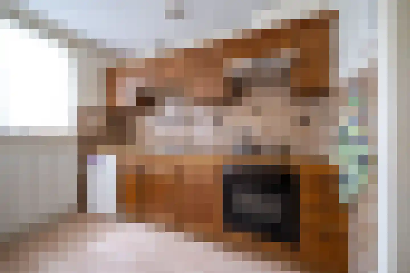 Demmerik 108 A Vinkeveen thumbnail 17