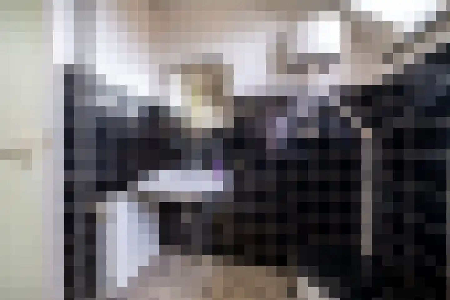 Demmerik 108 A Vinkeveen thumbnail 27