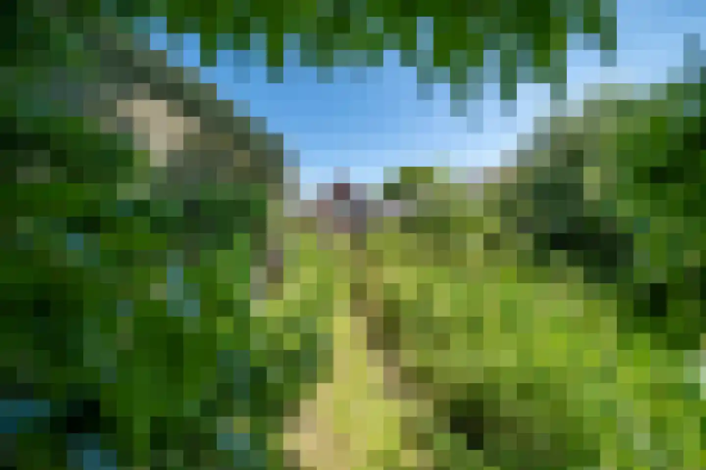 Demmerik 108 A Vinkeveen thumbnail 31