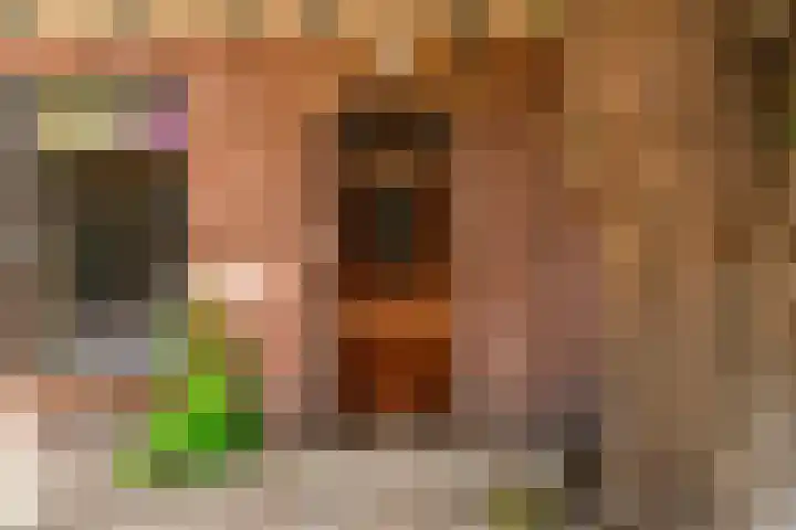 Demmerik 13 Vinkeveen thumbnail 10