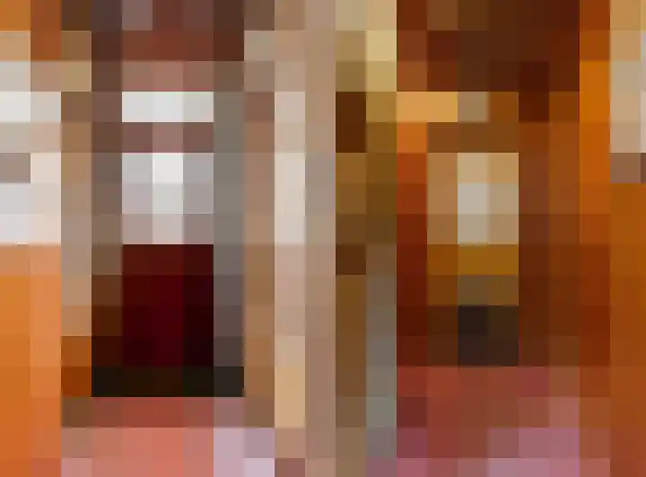 Demmerik 13 Vinkeveen thumbnail 11
