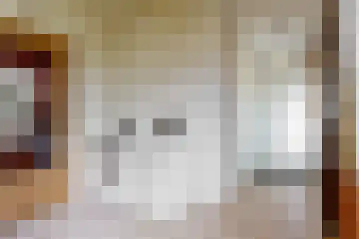 Demmerik 13 Vinkeveen thumbnail 18
