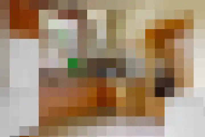 Demmerik 13 Vinkeveen thumbnail 19