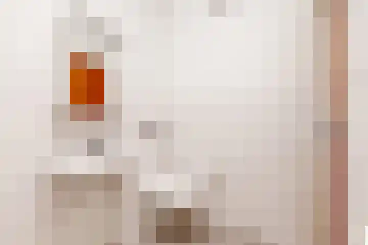 Demmerik 13 Vinkeveen thumbnail 21