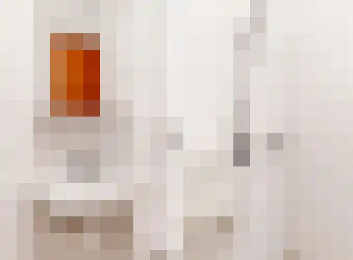 Demmerik 13 Vinkeveen thumbnail 22