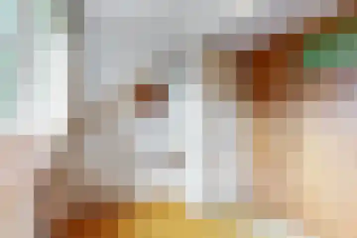 Demmerik 13 Vinkeveen thumbnail 26