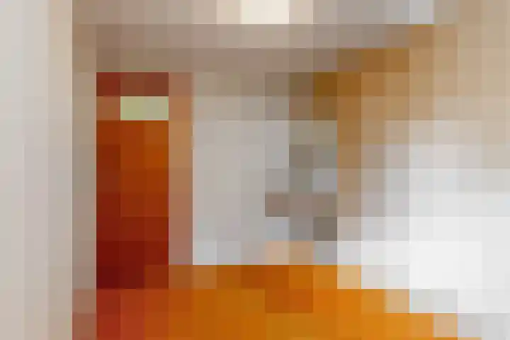 Demmerik 13 Vinkeveen thumbnail 30