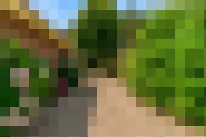 Demmerik 13 Vinkeveen thumbnail 33