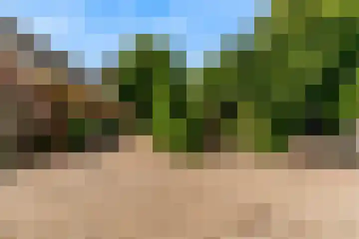 Demmerik 13 Vinkeveen thumbnail 34