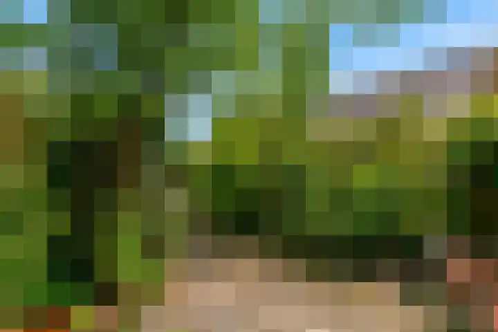 Demmerik 13 Vinkeveen thumbnail 38
