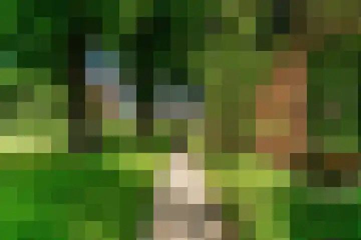 Demmerik 13 Vinkeveen thumbnail 39