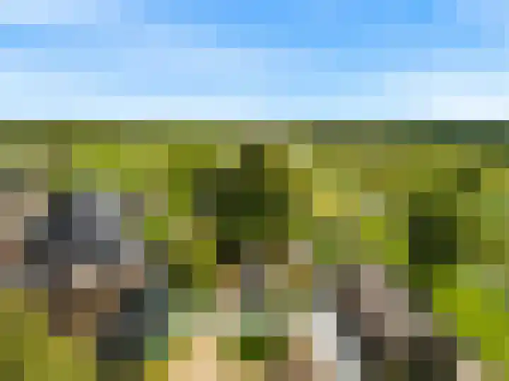 Demmerik 13 Vinkeveen thumbnail 4