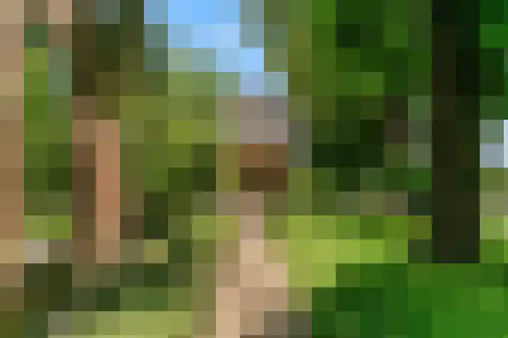 Demmerik 13 Vinkeveen thumbnail 40