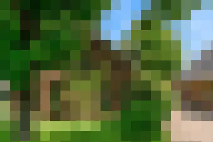 Demmerik 13 Vinkeveen thumbnail 41