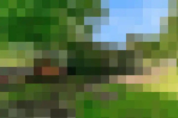 Demmerik 13 Vinkeveen thumbnail 43