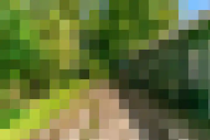 Demmerik 13 Vinkeveen thumbnail 44