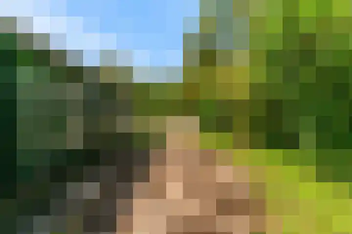 Demmerik 13 Vinkeveen thumbnail 45