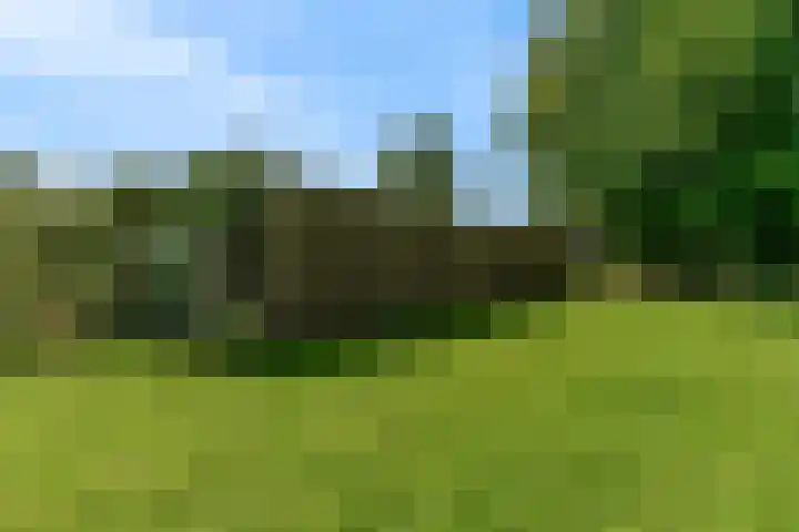 Demmerik 13 Vinkeveen thumbnail 46