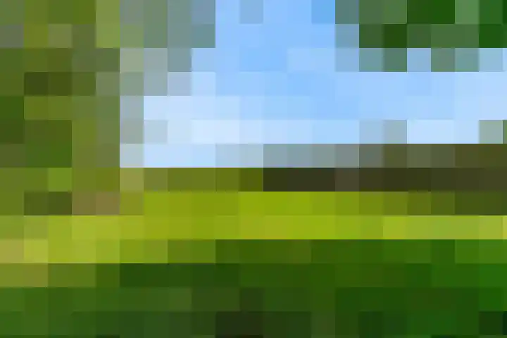 Demmerik 13 Vinkeveen thumbnail 47