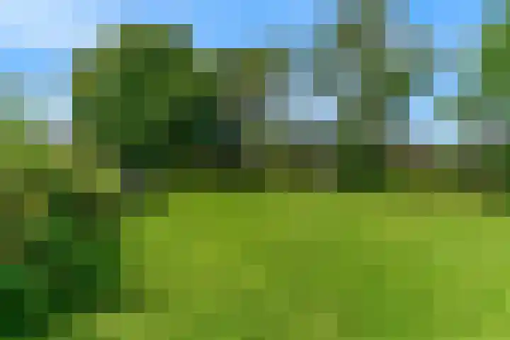 Demmerik 13 Vinkeveen thumbnail 49