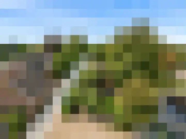 Demmerik 13 Vinkeveen thumbnail 5