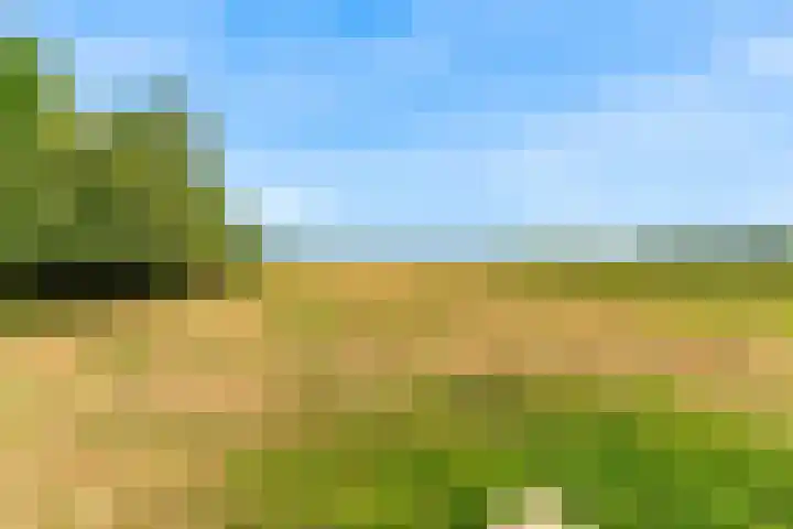 Demmerik 13 Vinkeveen thumbnail 50