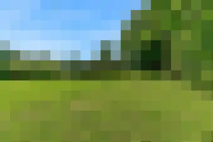 Demmerik 13 Vinkeveen thumbnail 51