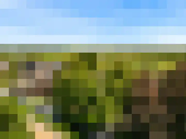 Demmerik 13 Vinkeveen thumbnail 52