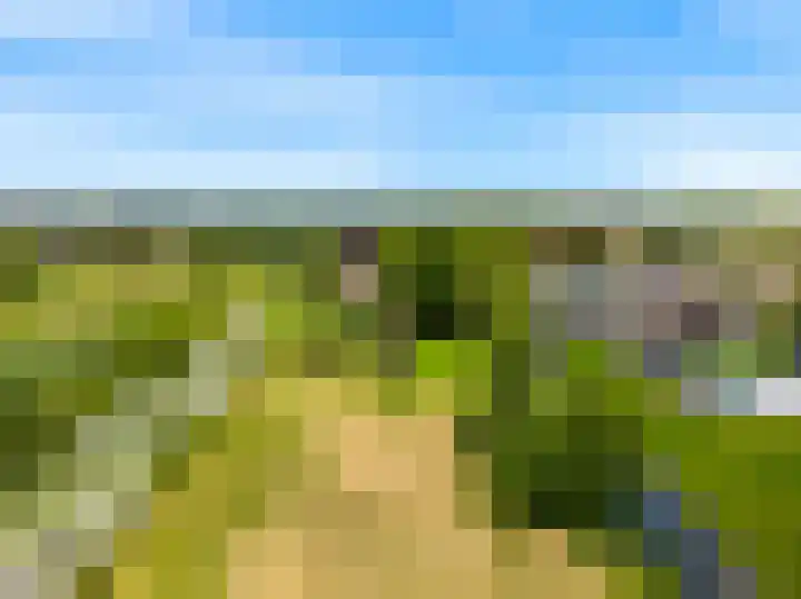 Demmerik 13 Vinkeveen thumbnail 53
