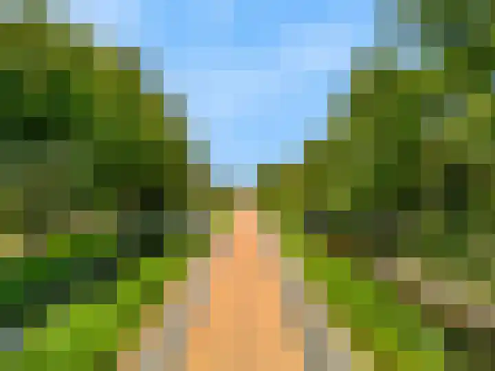 Demmerik 13 Vinkeveen thumbnail 54